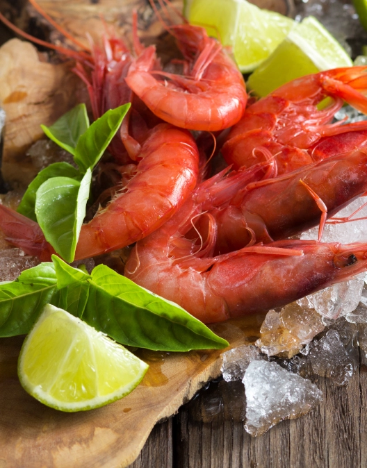 gamba roja el mejor sabor - El mejor sabor